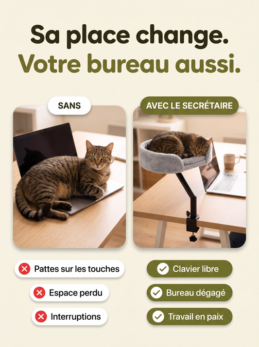 Avant et après : chat sur le clavier, puis chat dans Le Secrétaire avec le clavier libre