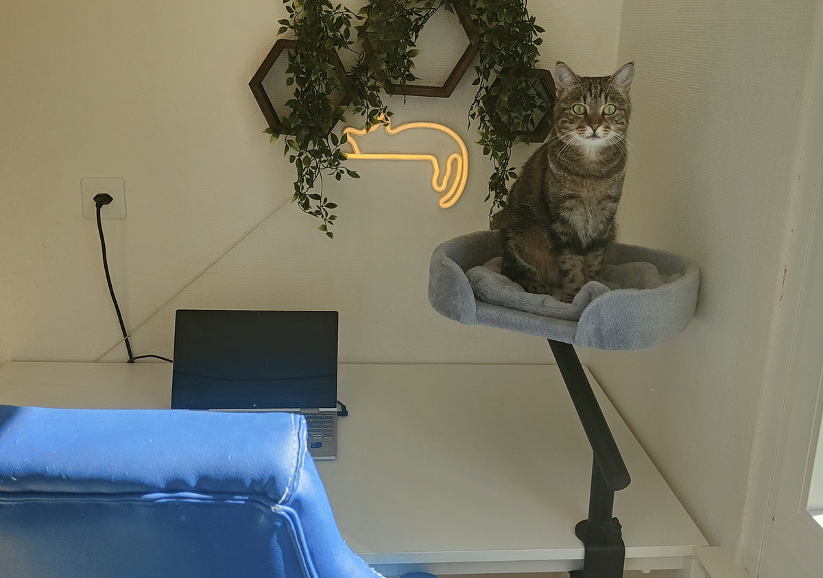 Le Secrétaire, le lit de bureau qui garde votre chat près de vous
