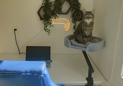 Le Secrétaire, le lit de bureau qui garde votre chat près de vous