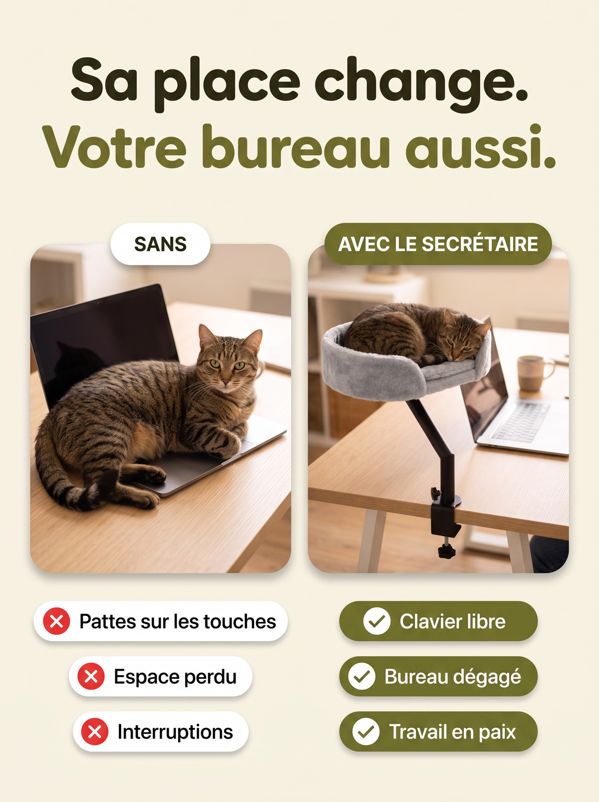 Avant et après : chat sur le clavier, puis chat dans Le Secrétaire avec le clavier libre