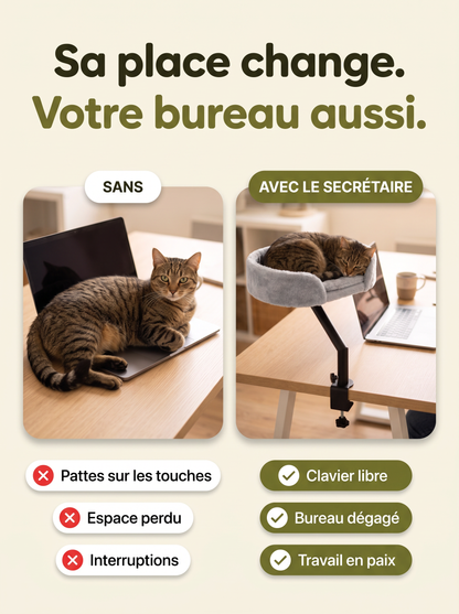 Avant et après : chat sur le clavier, puis chat dans Le Secrétaire avec le clavier libre