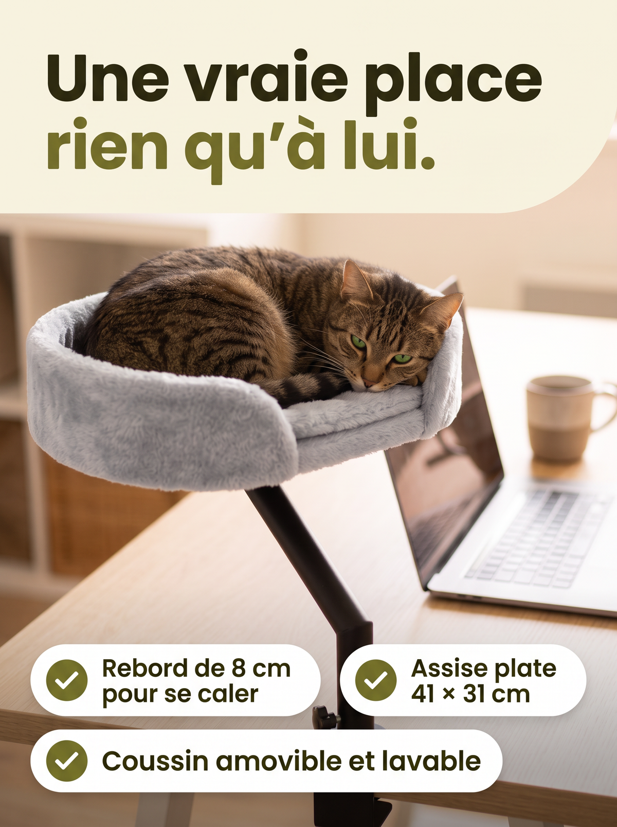 Chat tigré qui dort dans le coussin gris et épais du Secrétaire