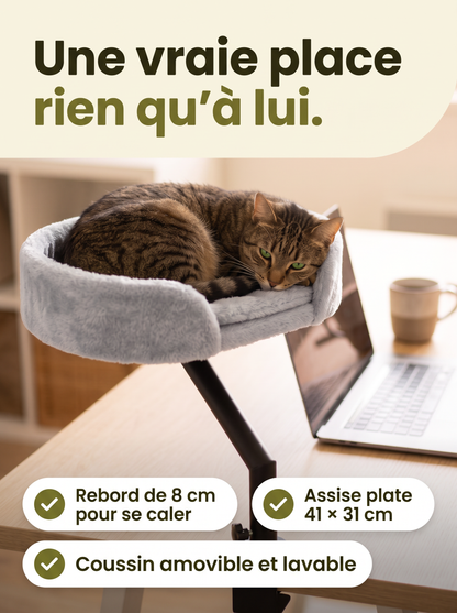 Chat tigré qui dort dans le coussin gris et épais du Secrétaire